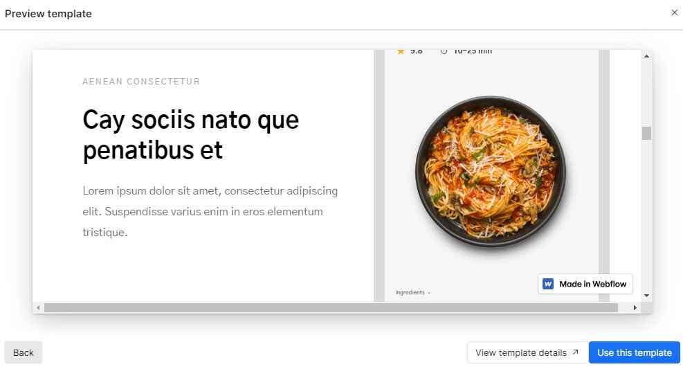 Webflow Design Template User Interface